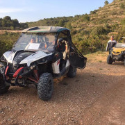 Ruta en Buggy Doble (Alcossebre, Castellón)
