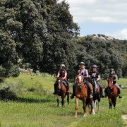Ruta a Caballo por Sierra Oeste (Robledo de Chavela, Madrid)