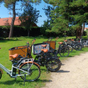Experiencia Exclusiva Aladinia: Ruta Inclusiva en Bicicleta Eléctrica con Picnic y Comida (Candás, Asturias)