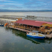 Salida en Barco y Baño en Bahía del Fangar con Opción de Degustación de Ostras y Mejillones (Ampolla, Tarragona)