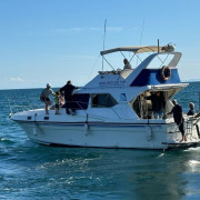 Salida en Barco con Avistamiento de Delfines (Manilva, Málaga)