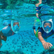 Salida de Snorkel con Clase de Identificación de Especies (Barcelona)