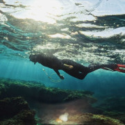 Snorkel con Fotografías (Cambrils, Tarragona)