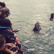 Snorkel con Fotos para dos en Isla de Mouro (Santander, Cantabria)