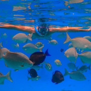 Snorkel con Reportaje de Fotos y Vídeo en Puerto del Carmen (Las Palmas, Lanzarote)