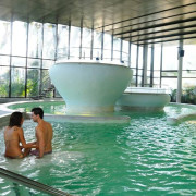 Circuito Spa Aquatonic y Masaje para dos en Hotel Termes de Montbrió 4* (Tarragona)