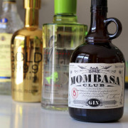 Taller y Cata de Gin Tonic Premium (Barcelona)