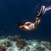 Tour de Snorkel (Fuencaliente de La Palma, Los Canarios)