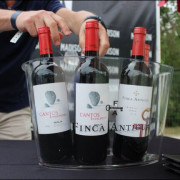 Viaje en Globo con Almuerzo y Fotos y Visita a Bodega con Cata de Vinos en Finca Montepedroso (Valladolid)