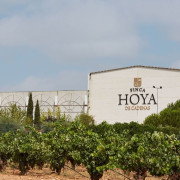 Visita a Bodegas Vicente Gandía con Cata de Vinos y Tabla de Quesos y Embutidos para dos (Las Cuevas de Utiel, Valencia)