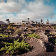 Tour por Viñedo con Cata de Vinos y Maridaje de Chocolate Artesanal en Finca Testeina -  Bodegas Vega de Yuco (Masdache, Lanzarote)