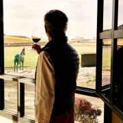 Visita Privada a Bodegas Virtus con Cata y Maridaje (Valladolid)
