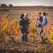 Visita a Bodegas Elías Mora con Cata de Vinos y Degustación para dos (San Román de Hornija, Valladolid)