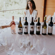 Paseo por Viñedos en 4x4 y Visita a Bodega Arínzano con Cata de Vinos y Maridaje Gastronómico (Navarra)