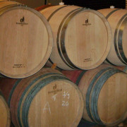 Visita a Bodega, Cata de Vinos y Aperitivo de Embutidos Ibéricos para dos (Madrid)