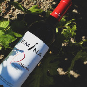 Visita a Bodega y Cata de Vinos en Bodega Emina Ribera (Valladolid)