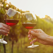 Visita a Bodega Pago de Almaraes con Degustación de Vinos y Embutidos de la zona para dos (Benalúa, Granada)