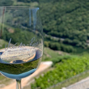 Visita a Bodega Via Romana y Viñedos con Cata de 3 Vinos para dos (Lugo)