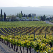 Visita Bodegas Pérez Barquero y Degustación de Cuatro Vinos para dos (Montilla, Córdoba)