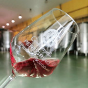 Visita y Degustación de Vinos en Bodegas Gordonzello con Aperitivo para dos (León)
