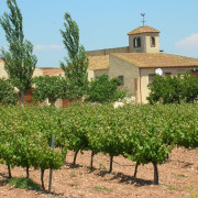 Visita al Celler Mas Foraster con Cata de Vinos y Circuito Spa con Comida para dos en Aquum Spa Estival Park (Tarragona)