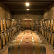 Visita al Celler Mas Foraster con Cata de Vinos y Circuito Spa para dos en SPALAS Hotel Gran Palas 5* (Tarragona)