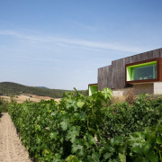 Visita a Bodega Mas Rodó y Cata de Vinos para dos en Sant Joan de Mediona (Barcelona)