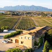 Visita a Bodega Raventós Rosell con Cata de Vinos y Cava para dos (Barcelona)