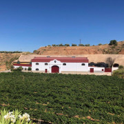 Visita a las Bodegas Muñana y Degustación de vino para dos (Granada)
