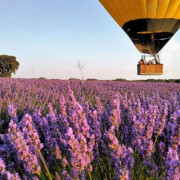 Vuelo en Globo con Fotos y Vídeo en Campos de Lavanda (Brihuega, Guadalajara)