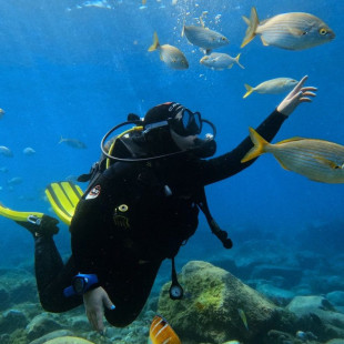 Bautismo de Buceo desde Barco en Costa Adeje (Santa Cruz de Tenerife) - Dos personas