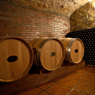 Visita a Bodega y Cata de Vinos para dos en el Celler Ronadelles - Cap de Ruc (Cornudella de Montsant, Tarragona)