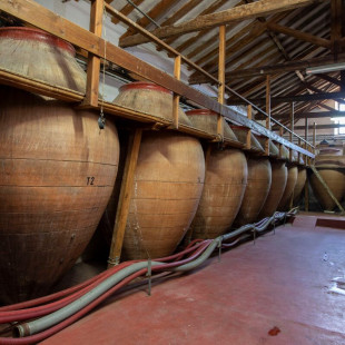 Escapada en Casa Rural & Spa La Graja con Visita a Bodegas Jesús Díaz e Hijos y Cata de Vinos para dos (Madrid)