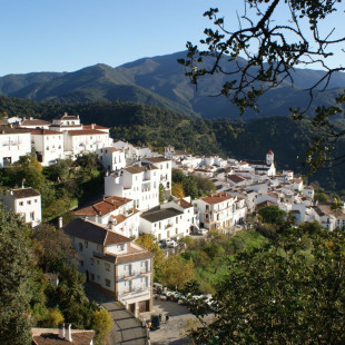 Escapada Rural con Cena en La Posada del Recovero (Genalguacil, Málaga)