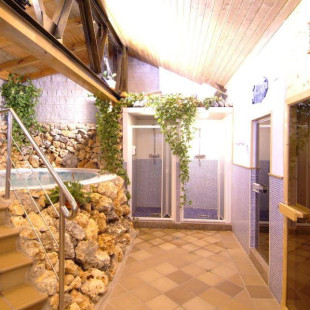 Escapada Romántica con Spa en Hotel 4* y Visita a Bodegas con Degustación de Vino para dos (Granada)