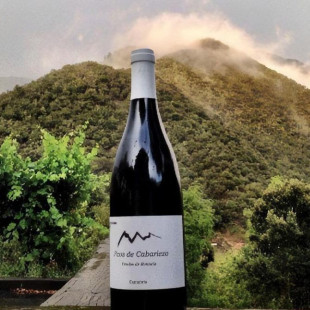 Visita a la Bodega Picos de Cabariezo con Cata de Vinos y Licores para dos (Cantabria)