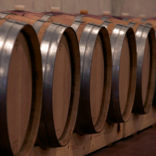 Visita Guiada por Bodega Artística con Cata de Vinos y Spa para dos en Iberik Rocallaura Balneari 4* (Lleida)