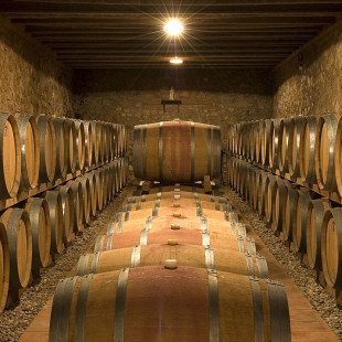 Visita al Celler Mas Foraster con Cata de Vinos y Circuito Spa para dos en SPALAS Hotel Gran Palas 5* (Tarragona)