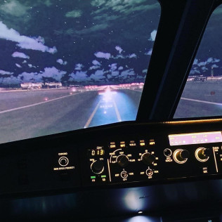 Simulateur de Vol de Ligne A330 (Paris, Île-de-France - 75)