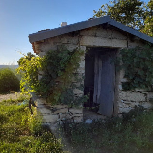 Soirée Randonnée au Coucher du Soleil avec Dégustation de Jus de Raisin pour deux (Saint-Alban, Ain - 01) 