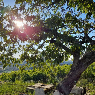Soirée Randonnée au Coucher du Soleil avec Dégustation de Jus de Raisin pour deux (Saint-Alban, Ain - 01) 
