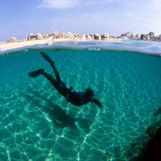 Baptême de Plongée et Snorkeling (Bonifacio, Corse-du-Sud - 20)