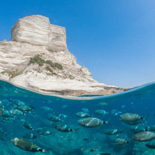 Classe Découverte de Plongée et Snorkeling (Bonifacio, Corse-du-Sud - 20)