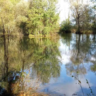 Après-midi Familiale avec Activités et accès à la Piscine (Montacher-Villegardin, Yonne - 89)