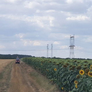 Randonnée Découverte en Quad (Boutervilliers, Essonne - 91)