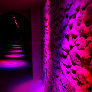 Visite Bulles et Initiation (Limoux, Aude - 11)