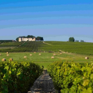Atelier d’Initiation à la Dégustation de Vins de Bordeaux en Duo dans un Château (Cadaujac, Gironde- 33)