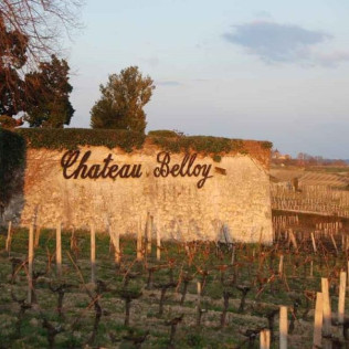 Soin œnothérapie : Spa, Massage et Dégustation de Vins au Château Belloy pour deux (Saint-Michel-de-Fronsac, Gironde - 33)