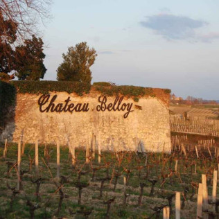 Week-end Œno-relaxation avec Spa et Dégustation de Vins au Château Belloy (Saint-Michel-de-Fronsac, Gironde - 33)