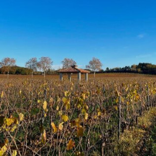 Visite de Vignobles, Dégustation de Vins et Assiette Gourmande (Vingrau, Pyrénées-Orientales - 66)